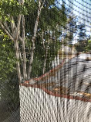 View from upper window - 1024 1/2 N Sweetzer Ave