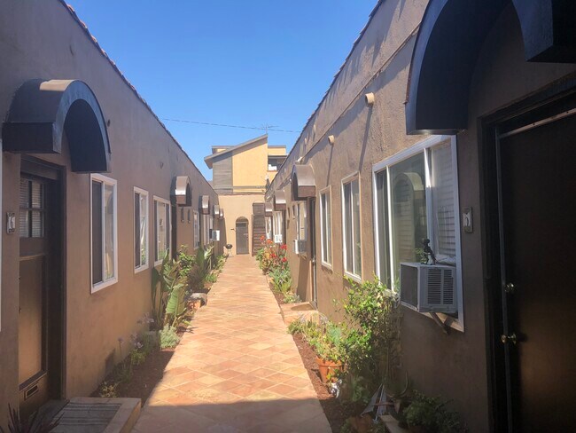 Back view walkway - 729 Elm Ave