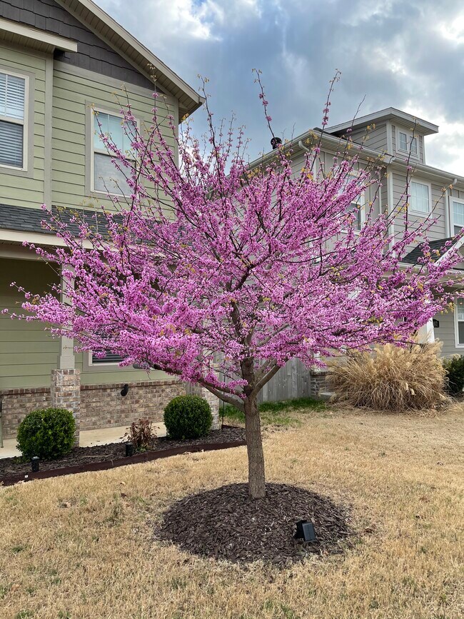 Foto del edificio - 3810 W Pawnee Rd