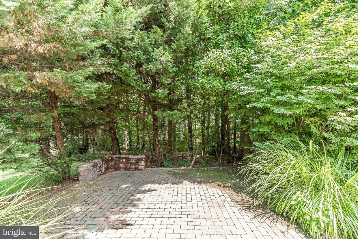 Primary Photo - 8502 Summershade Dr