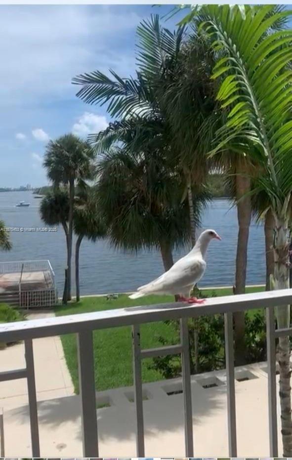 Building Photo - 500 Bayview Dr