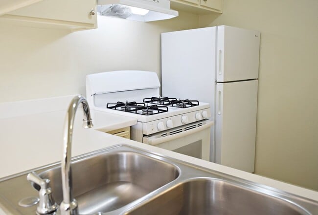 Foto del edificio - Downstairs North Park Apartment with Parking & Onsite Laundry!