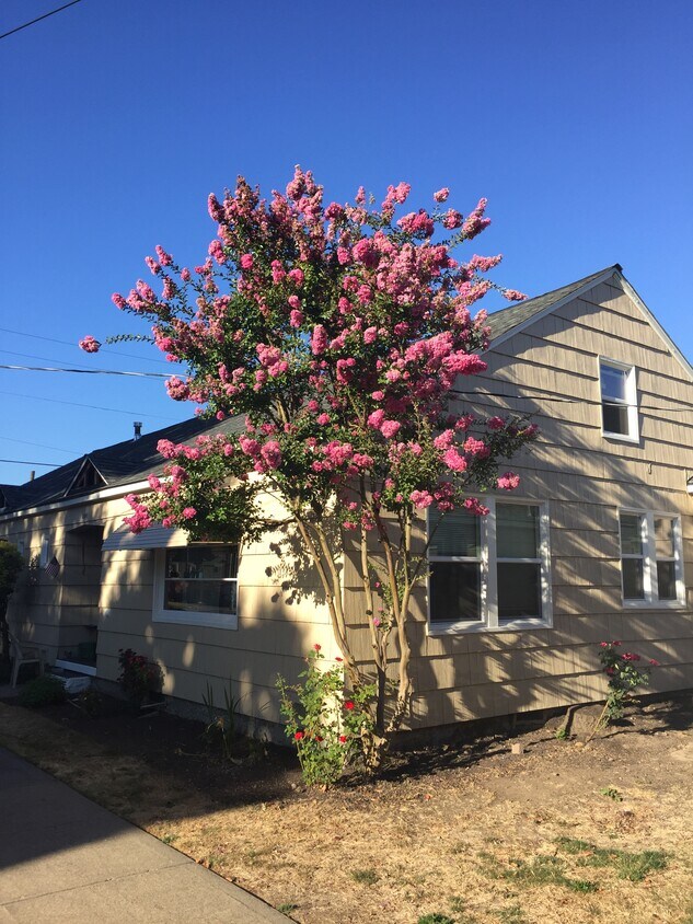 Primary Photo - 1001 e 3rd st