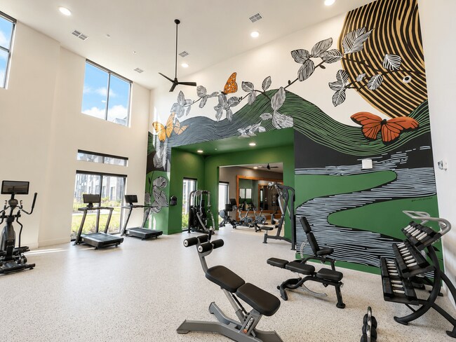 Gimnasio - The Bluewood