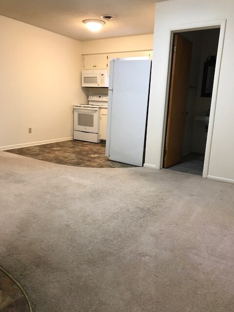 Living Room view from Entrance - 223 E Findlay St