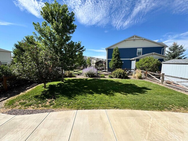 Foto del edificio - Move in ready 3 bedroom in Banning Lewis Ranch