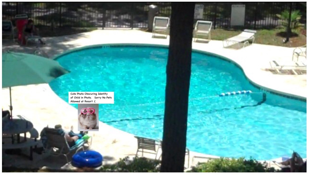 239 Beach City Rd, Hilton Head Island, SC 29926 Condo for Rent in