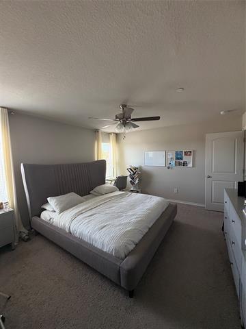 Building Photo - 2808 Percheron Dr