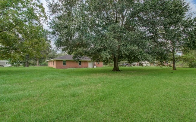 Building Photo - 309 Donatto Dr