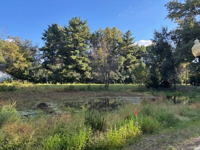 Building Photo - Great 1 BR/1 BA Condo in the Heart of Litt...