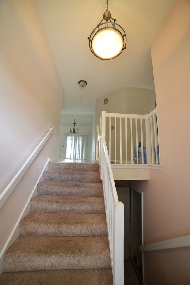Building Photo - 2545 Live Oak Ln