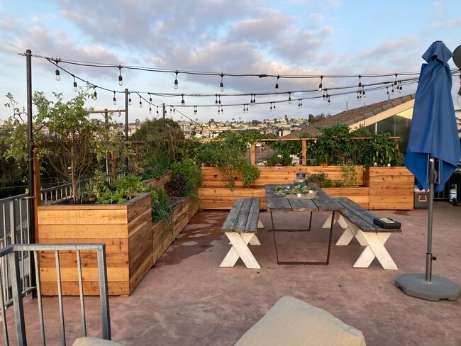 roof deck - 306 4th St