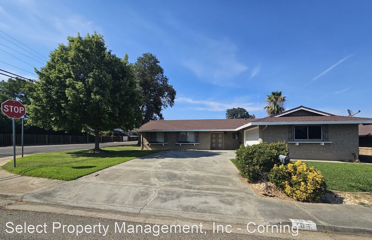 Foto del edificio - 3 br, 2 bath House - 105 Robin St