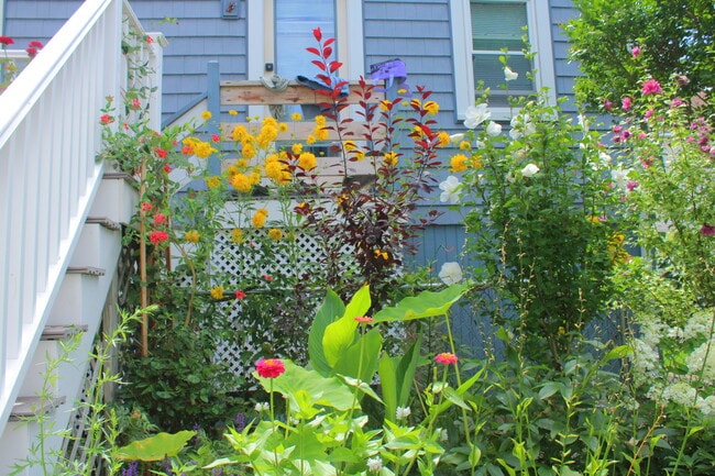Beautiful lanscaping - 18 Berkley Rd House
