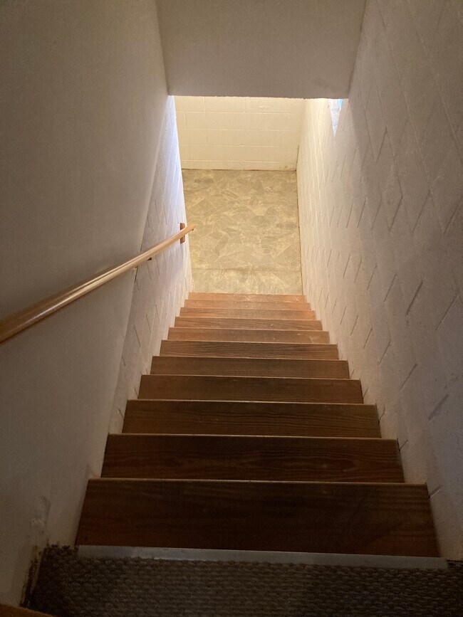 Stairs to basement - 32 Magua Dr