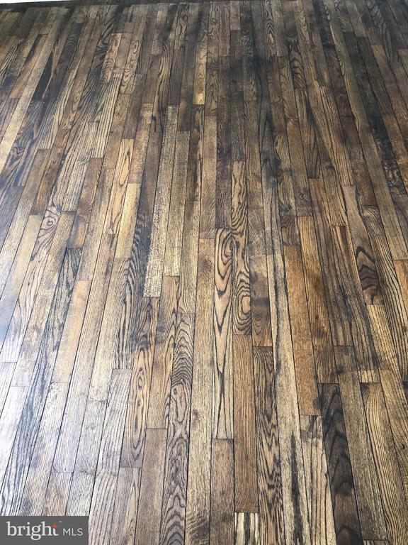 Foto del edificio - 204 Northview Dr