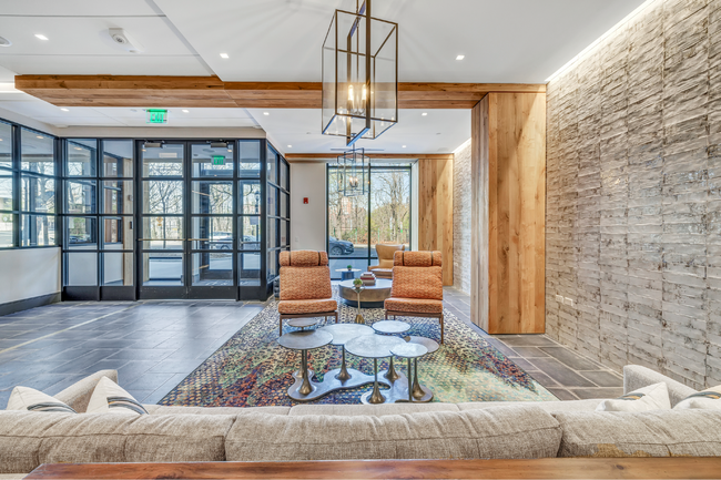 Interior Photo - Olive & Wooster