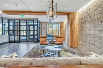 Interior Photo - Olive & Wooster