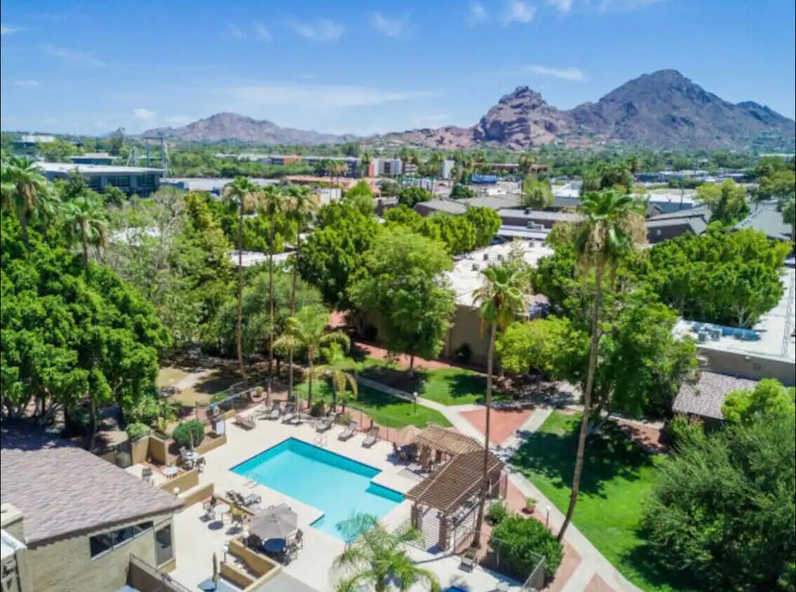 Primary Photo - 3825 E Camelback Rd