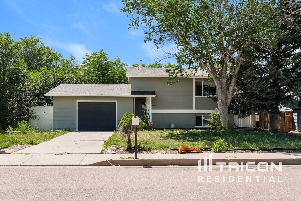 Primary Photo - 6650 Brook Forest Dr