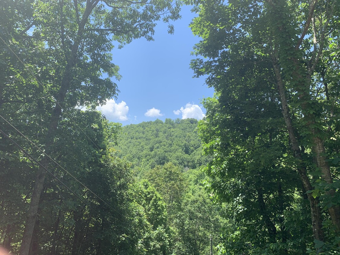 5 Glencairn Heights, Black Mountain, NC 28711 House Rental in Black