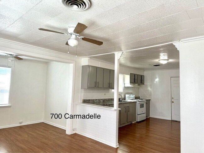 Building Photo - 700 Carmadelle St