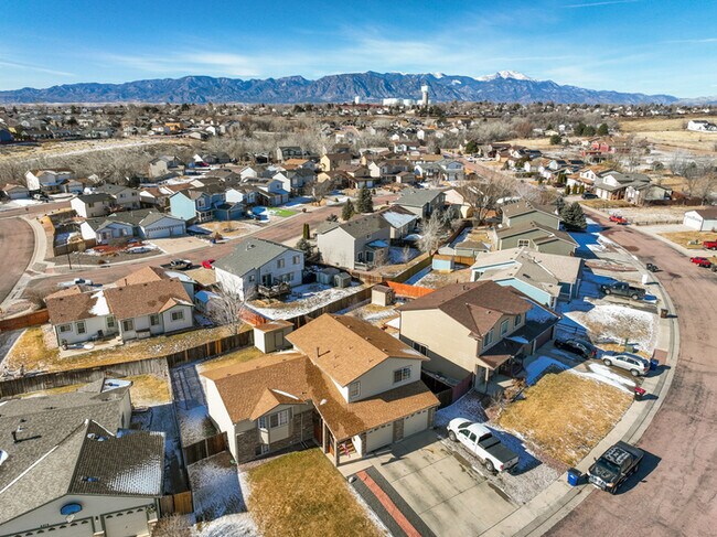 Foto del edificio - 8258 Hidden Pine Drive Colorado Springs, C...