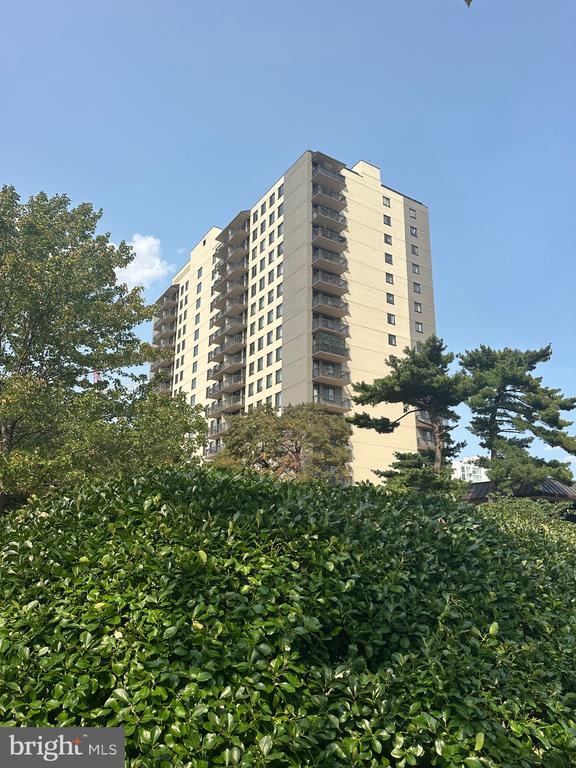 Building Photo - 801 S Pitt St