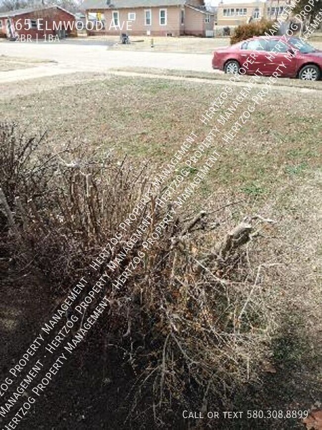 Building Photo - 65 Elmwood Ave