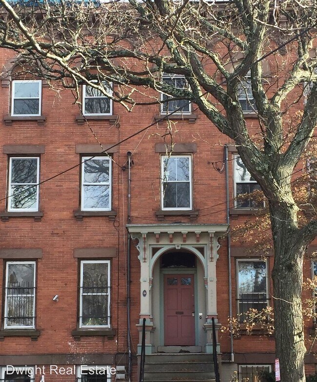 Building Photo - 271 Dwight St