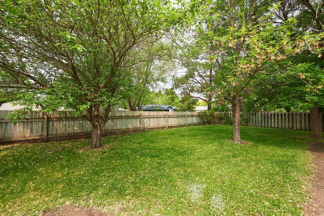 patio trasero - 1353 15th Ave S