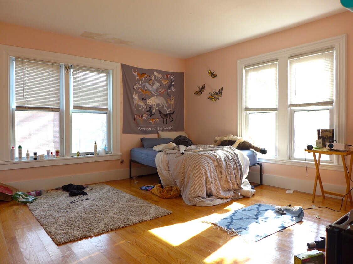 18 Linwood St Unit 1, Boston, MA 02119 Apartments in Boston, MA