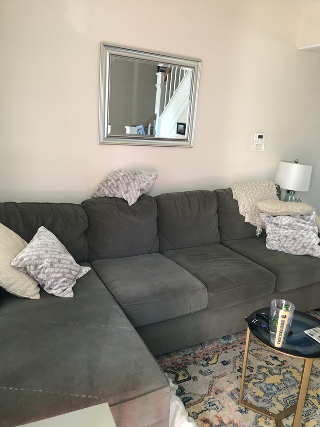 Living Room 1 - 828 Christian Pl