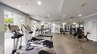 Located at 255 Evernia St in the heart of West Palm Beach, Florida, this fitness center offers a comprehensive exercise facility designed to support a full range of workout routines. The space is thoughtfully laid out across a single floor, providing ample room for both cardio and strength training activities without feeling cramped.

The cardio section is well-stocked with multiple treadmills and elliptical machines, each equipped with individual digital displays. A row of spin bikes adds dedicated cycling options, while additional cardio equipment rounds out the selection. Strength training is equally well-represented, with a multi-station cable machine, a dumbbell rack stocked with a full range of weights, and specialized equipment such as a captain's chair for core work.

The interior features soft gray walls, recessed lighting, and durable speckled rubber flooring suited for high-traffic exercise use. Large mirrors line portions of the walls, enhancing the sense of space and allowing users to monitor their form. Natural light filters in through windows that offer views of lush tropical greenery, reflecting the South Florida setting. A wall-mounted flat-screen television provides entertainment during workouts. The clean, modern design and diverse equipment selection make this fitness center a functional and inviting space for residents or members seeking a convenient on-site exercise facility.