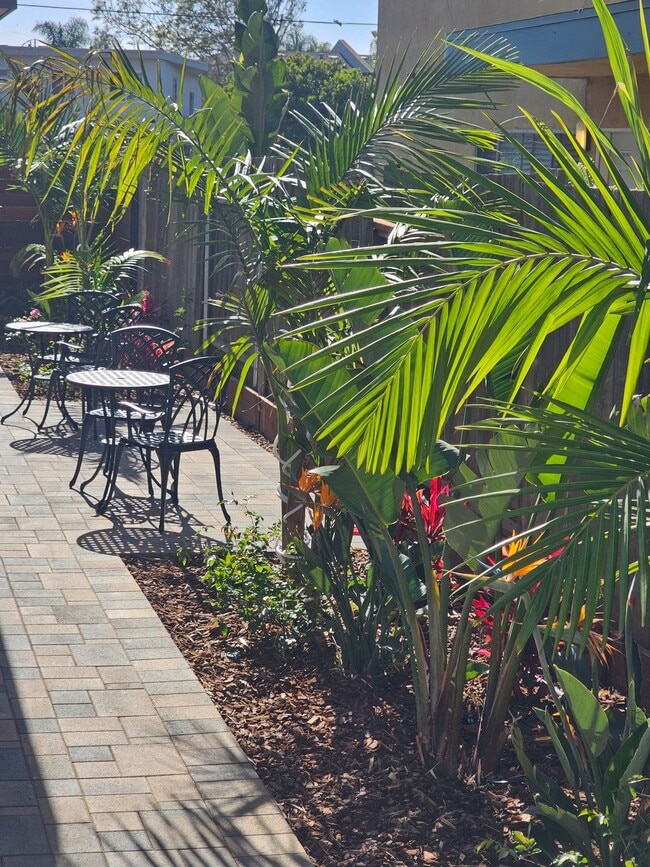 Building Photo - Encinitas Renovated Two Bedroom Apartment