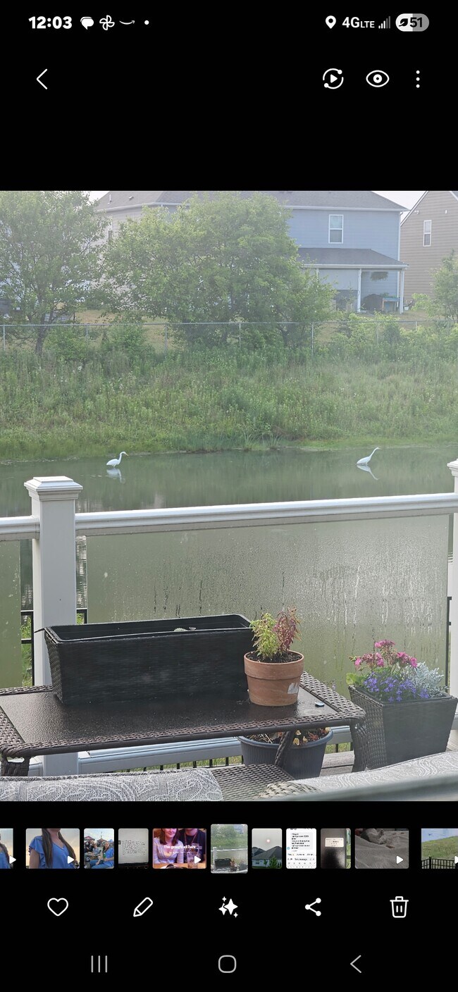 Foto del edificio - 5279 Tanglewood Ln