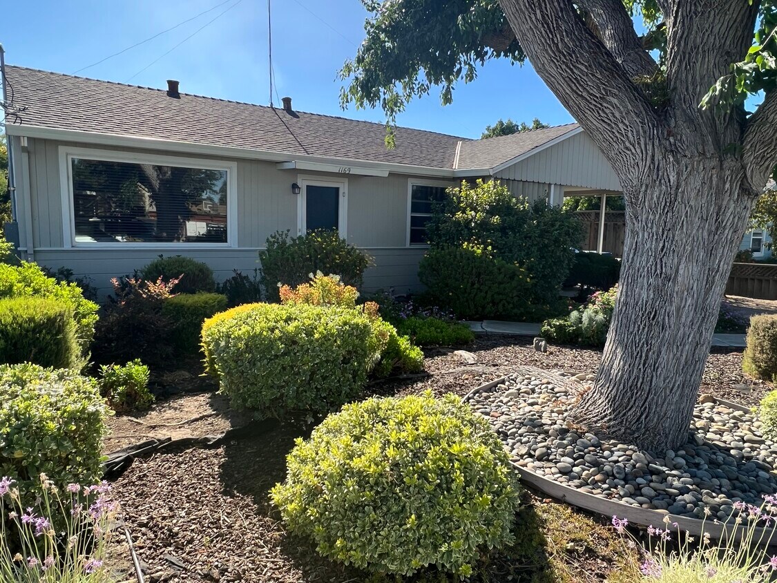 Primary Photo - 1169 Shamrock Dr