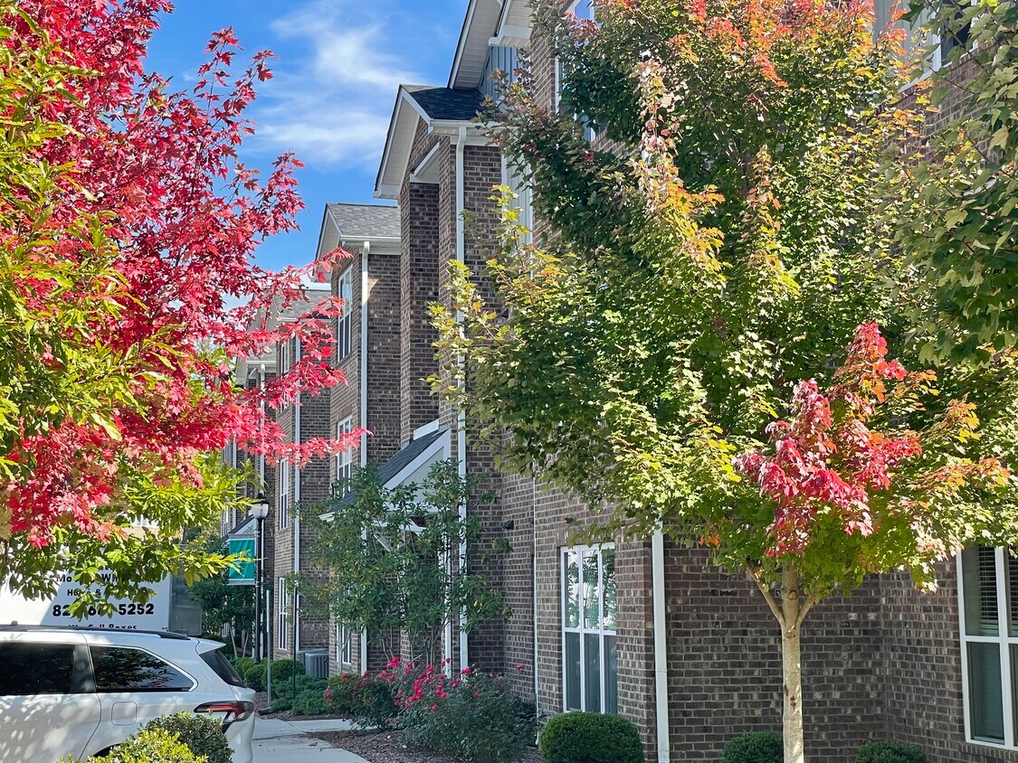 Haven at Enka Lake 196 Winter Forest Dr Candler, NC Apartments for