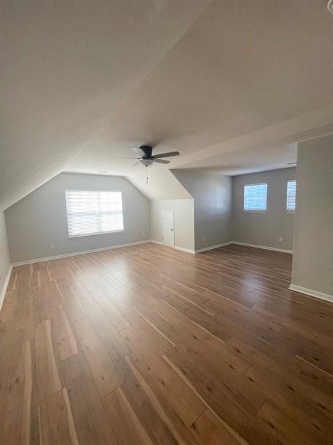 Foto del edificio - 10028 Shetland Ln