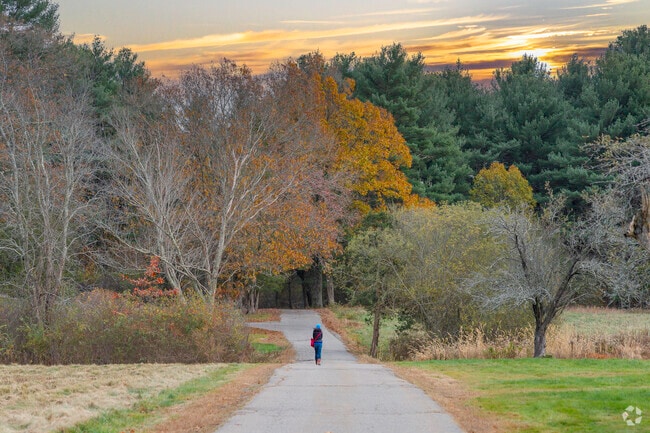 Someone walks the trails at Brookwood Community Farm, embracing the peaceful atmosphere.