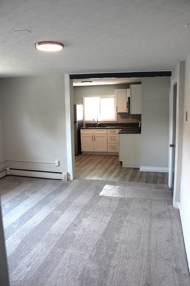Livingroom/Kitchen - 214 S Apple St