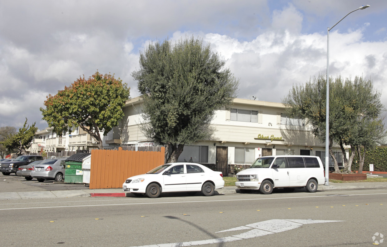 Building Photo - Olive Grove Apartments