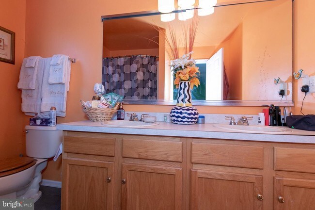 Foto del edificio - 8 Murray Way