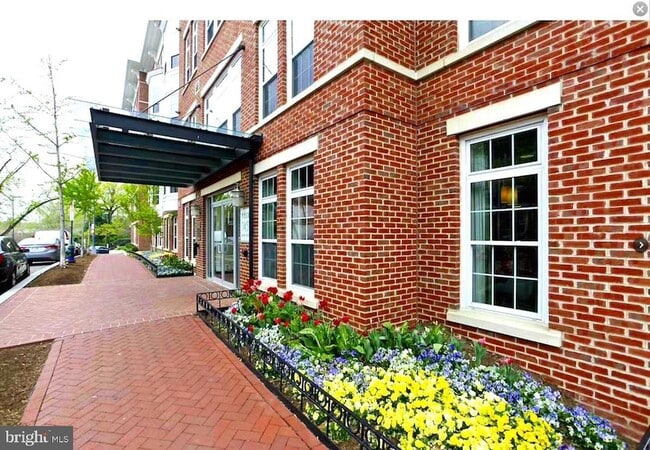 Building Photo - 1451 Belmont St NW
