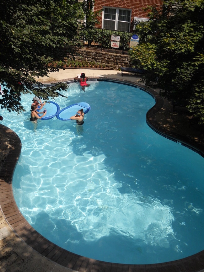 pool - 3303 Wyndham Cir