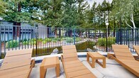 Located at 12355 Alcosta Blvd in San Ramon, California, this outdoor amenity area centers around a generously sized swimming pool with crystal-clear turquoise water. The pool deck is thoughtfully designed to accommodate a variety of recreational and social activities, with wide concrete surrounds providing ample space for movement and relaxation.

Poolside dining is well-appointed with multiple large wooden tables and matching chairs, shaded by full-sized market umbrellas — ideal for outdoor gatherings. An array of wooden lounge chairs lines the perimeter of the pool, offering comfortable spots to relax and enjoy the California sunshine. A dedicated spa or wading area with additional lounge seating is positioned at one end, bordered by a wrought-iron fence that opens to a landscaped garden with lush greenery and decorative water features.

A gabled service building sits adjacent to the pool area, housing what appears to be restrooms and vending machines for resident convenience. A covered pergola-style gazebo provides additional shaded seating options. The entire space is enveloped by towering mature trees, including redwoods and deciduous varieties, creating a private, park-like atmosphere. The natural canopy frames the space beautifully, offering both shade and a serene, resort-style ambiance throughout.