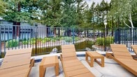 Located at 12355 Alcosta Blvd in San Ramon, California, this outdoor amenity area centers around a generously sized swimming pool with crystal-clear turquoise water. The pool deck is thoughtfully designed to accommodate a variety of recreational and social activities, with wide concrete surrounds providing ample space for movement and relaxation.

Poolside dining is well-appointed with multiple large wooden tables and matching chairs, shaded by full-sized market umbrellas — ideal for outdoor gatherings. An array of wooden lounge chairs lines the perimeter of the pool, offering comfortable spots to relax and enjoy the California sunshine. A dedicated spa or wading area with additional lounge seating is positioned at one end, bordered by a wrought-iron fence that opens to a landscaped garden with lush greenery and decorative water features.

A gabled service building sits adjacent to the pool area, housing what appears to be restrooms and vending machines for resident convenience. A covered pergola-style gazebo provides additional shaded seating options. The entire space is enveloped by towering mature trees, including redwoods and deciduous varieties, creating a private, park-like atmosphere. The natural canopy frames the space beautifully, offering both shade and a serene, resort-style ambiance throughout.