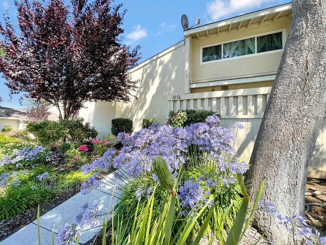 Photo - 1056 Michelangelo Dr House