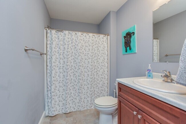 Foto del edificio - 11 Rockingham Rd