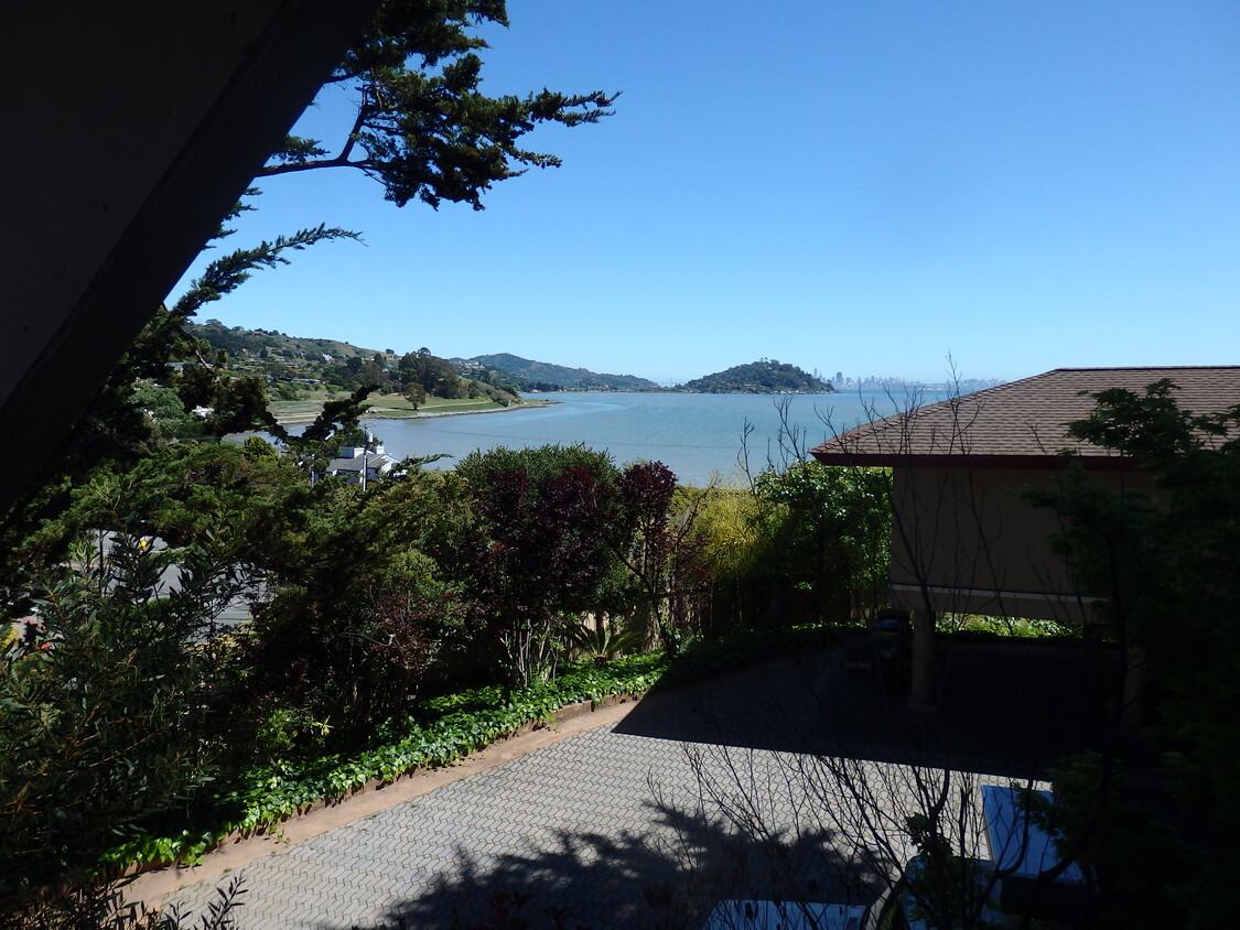 View of SF Bay - 5 Reed Ranch Rd